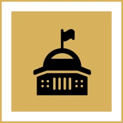 Constitutional Checks